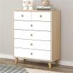 cabinet-2